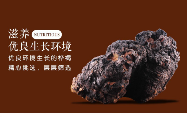 三高的天敵-樺褐靈芝您知道嗎？